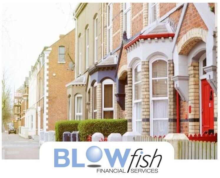 Blowfish Financial Services