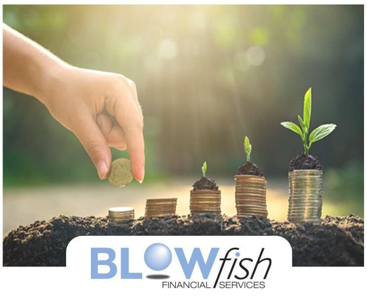 Blowfish Financial Services