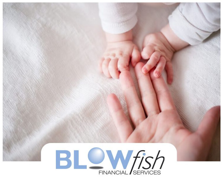 Blowfish Financial Services